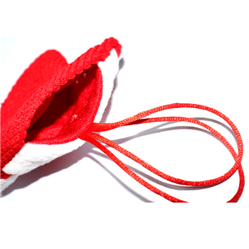 Christmas Santa Claus Bag