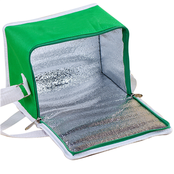 Insulated bag / ice bag