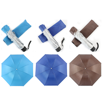Automotive Umbrella