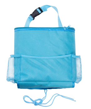 Cooler Bag