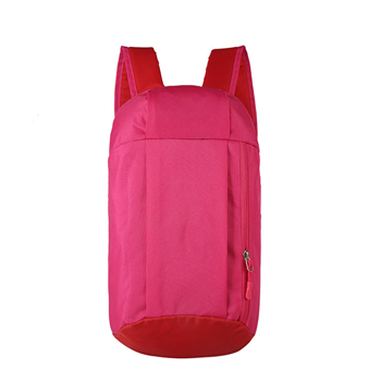 Travel Backpack