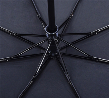 Foldable Umbrella