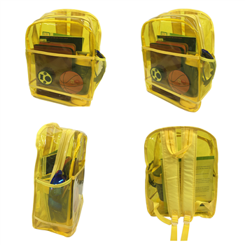 Fashion Transparent School Backpack