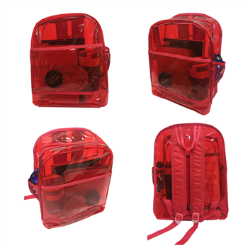 Fashion Transparent School Backpack