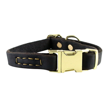 Alloy Buckle Dog Collar