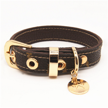 Fancy Pet Collar 