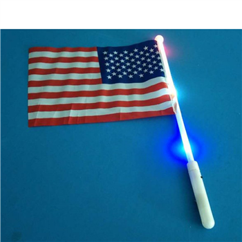 LED Light up Flag