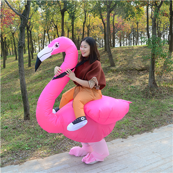 Halloween Flamingo Inflatable Costume
