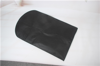 Non-Woven Garment Bag with Clear PVC Window