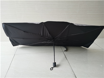 Car Windshield Parasol