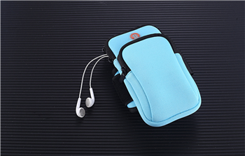 Sports Arm Bag