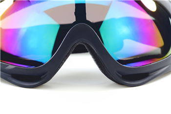 Ski Goggles