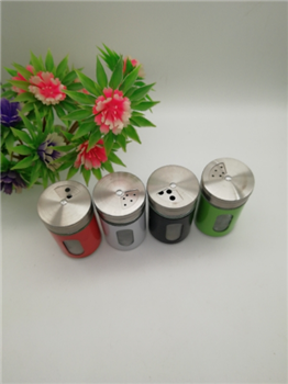 Steel Glass Condiment Dispenser Seasoning Shaker
