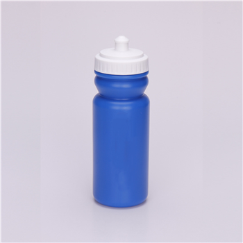 Sport Bottle with Push Pull Lid