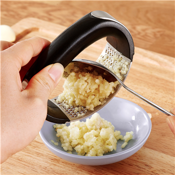 Stainless Steel Garlic Press Crusher