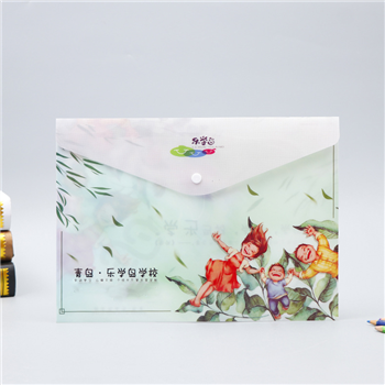 Letter-Size Full Color Printed Document Envelope