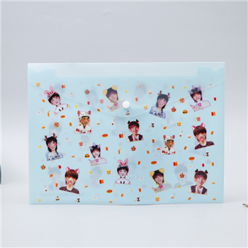 Letter-Size Full Color Printed Document Envelope