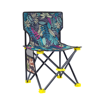 Small Folding /Fishing Chair With Carrying Bag