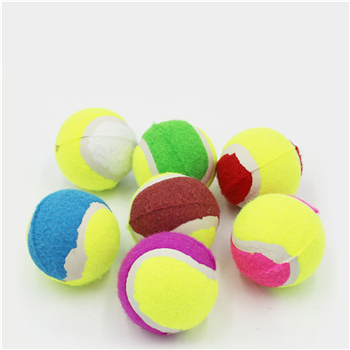 Dog Tennis Ball