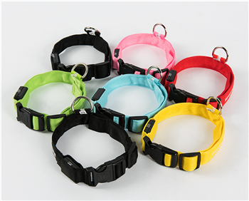 Pet Luminous Leash