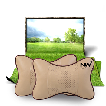 Car Pillow