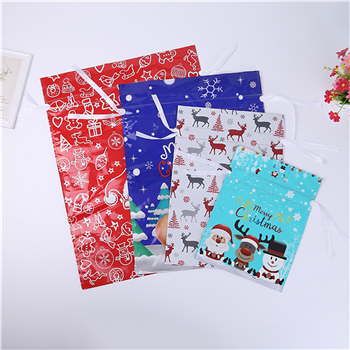 Christmas Packaging Bag