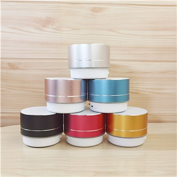 Mini Bluetooth Speaker