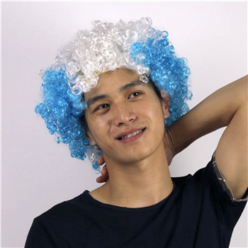 World Cup Fans Wig