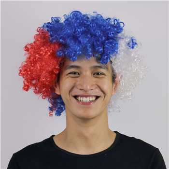 World Cup Fans Wig