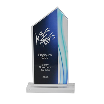 Custom Acrylic Award Trophy