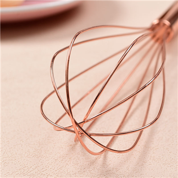 Stainless Steel Egg Beater