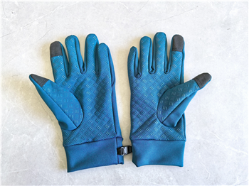Glove