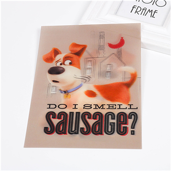Lenticular Flip Animated Card