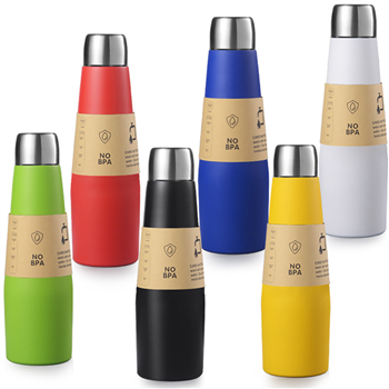 18Oz Double Wall Stainless Steel Bottle
