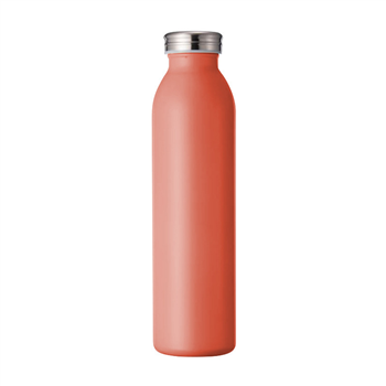 20 oz. Double Wall Stainless Steel Vacuum Insulated Bottle