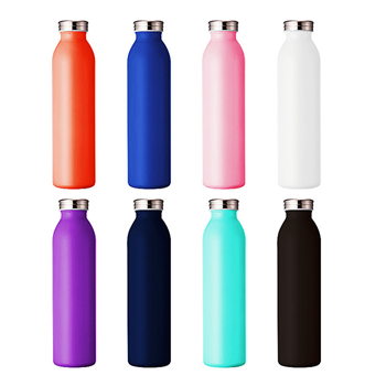 20 oz. Double Wall Stainless Steel Vacuum Insulated Bottle
