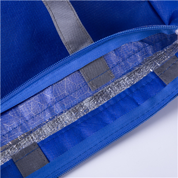 Lunch Cooler Tote