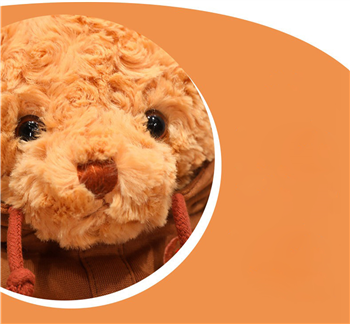Teddy Bear- Brown