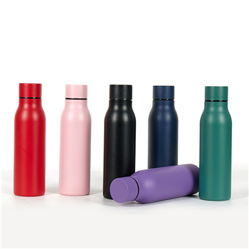 17Oz Stainless Steel Water Bottle