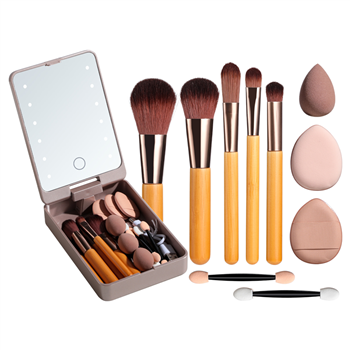 Mini Makeup Brush Set
