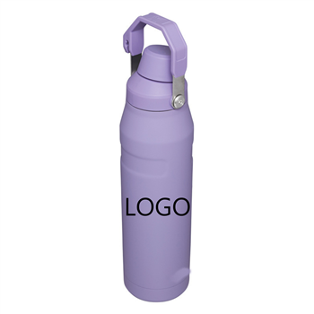 25oz. Insulated Bottle with Handle