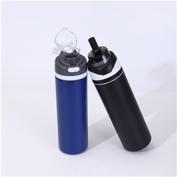 23 oz. Recycled Stainless Flip Straw Bottle