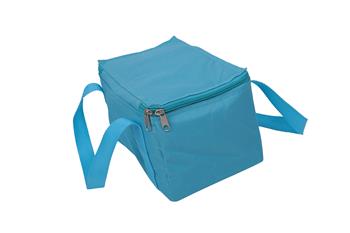 Cooler Bag