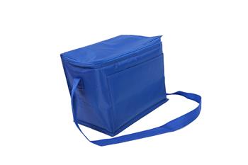 Cooler Bag